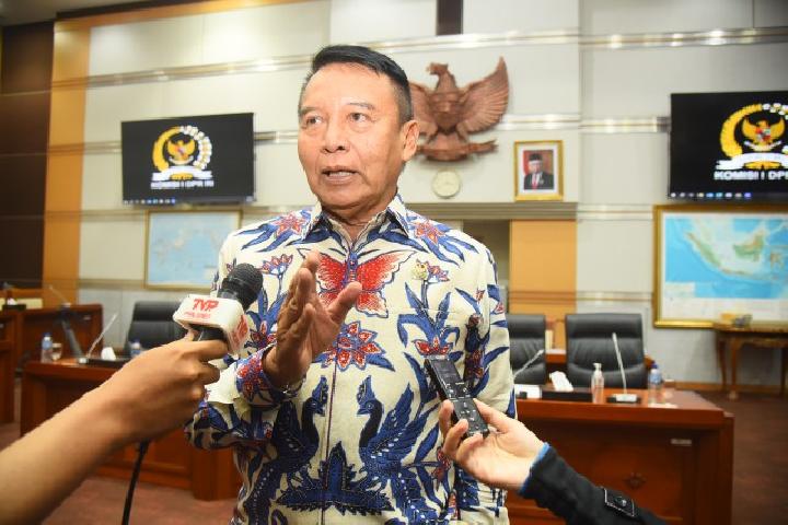 Indonesian Influencer Detained in Myanmar May Not Be Criminal, House Member Suggests