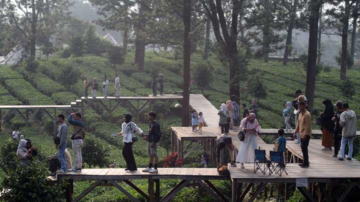 Top 8 Rural Destinations in Asia: Indonesia's Puncak Raks Third