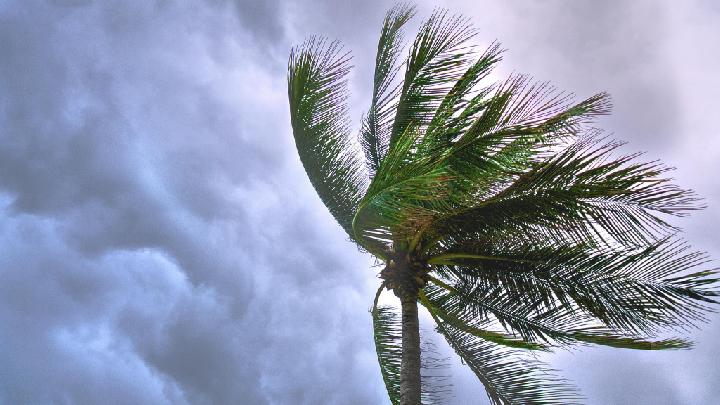 Typhoon Wutip Sweeps Across Vietnam, China as Thousands Evacuated
