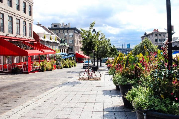 The Highest-Paying Jobs in Canada: Healthcare Industry Still Dominates