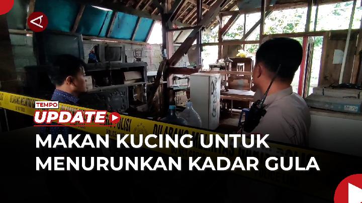 Warga Pergoki Bapak Kos Suka Makan Kucing, Mengaku untuk Obati Diabetes