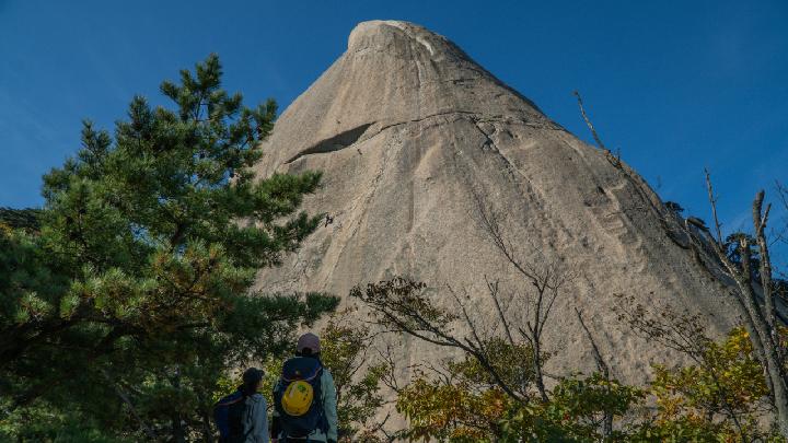 Why Hiking Became Popular Among Tourists in Seoul