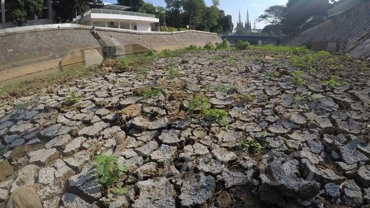 Java Faces Drought Risk This Dry Season: What Is BMKG's Plan?