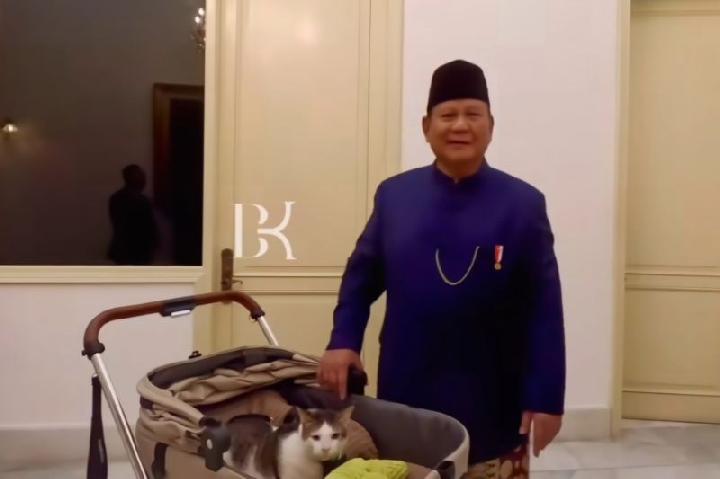 Prabowo's Cat Bobby Kertanegara Entitled to Receive State Facilities, Says Minister
