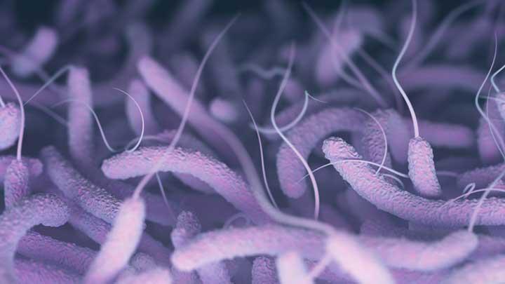 MSF Says Sudan War Fueling Deadly Cholera Outbreak