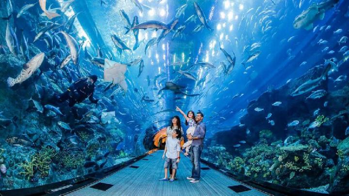 Top 10 Largest Aquariums in the World that Are Must Visit