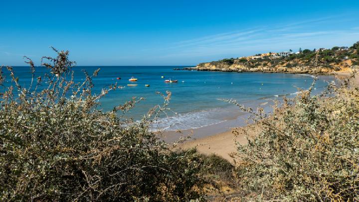 Portugal Installs Signs Prohibiting Urination and Defecation on Beaches
