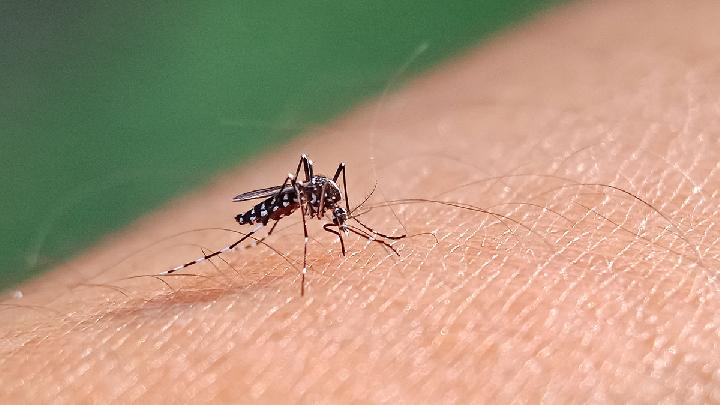 Chikungunya Virus: What to Know and What Cities in China Infected by Chikungunya?