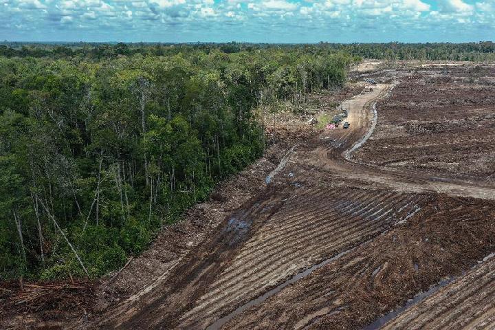 Indonesia Sets Aside Rp23.7 Trillion for Food Barns in 2026 State Budget