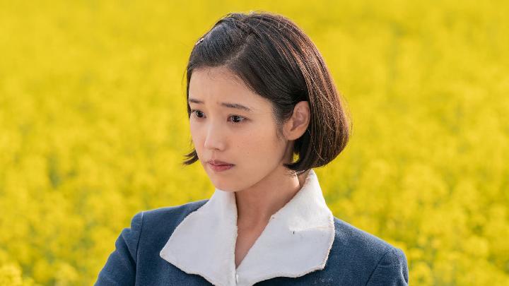 IU Net Worth: Fortune of "When Life Gives You Tangerine" Actress