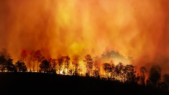 Japan: Raging Wildfires Cause Mass Evacuations