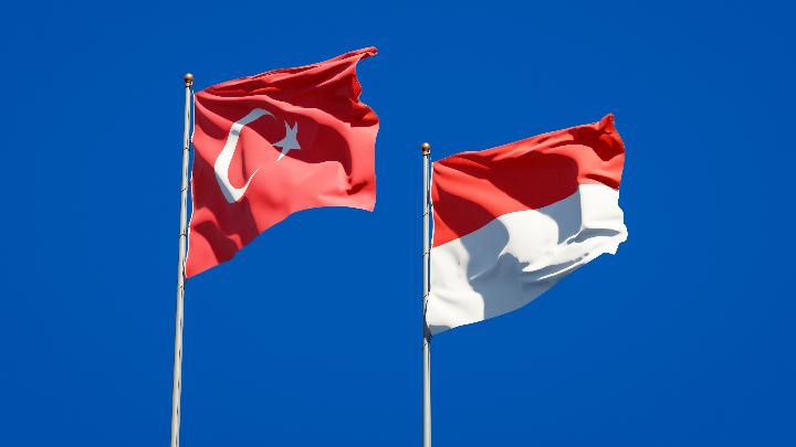 Indonesia and Turkey Plunge in Global Competitiveness Rankings