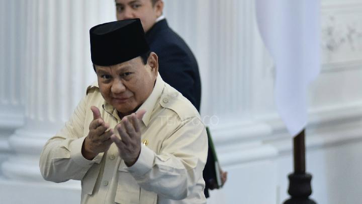 Economist Criticizes Prabowo's Rice Export Plan, Cites Concerns Over Production Dip