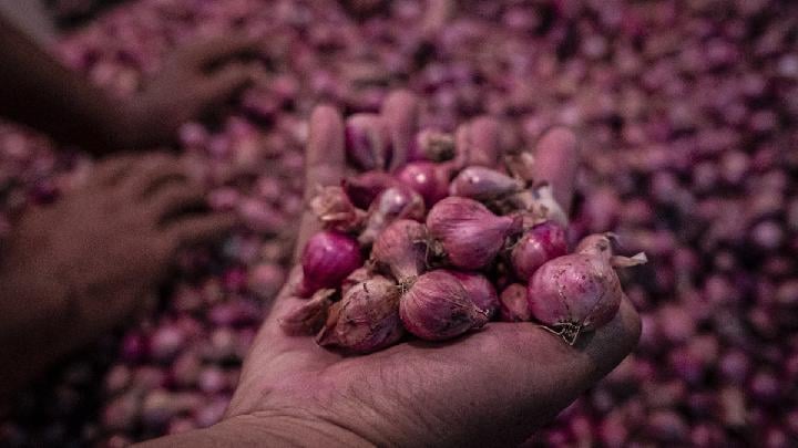 National Food Bureau Reports Price Decline in Majority of Food Items on May 13