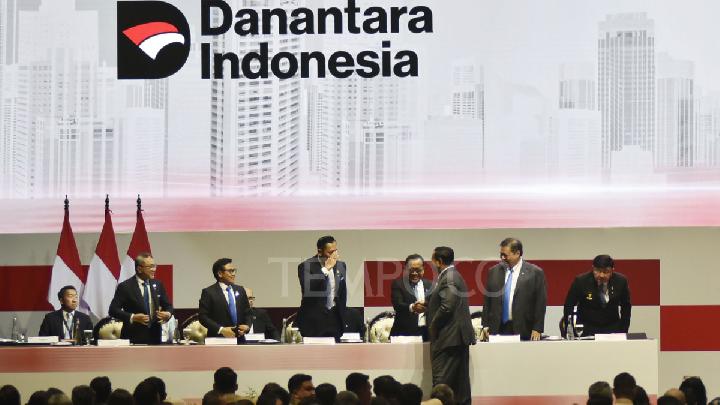 Danantara's High Risk Investments