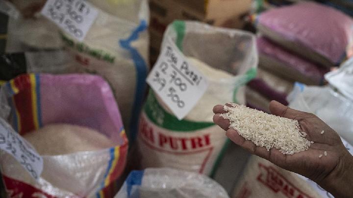 Today's Top 3 News: Indonesia Deliberates Rice Exports to Neighbors, No Final Decision Yet