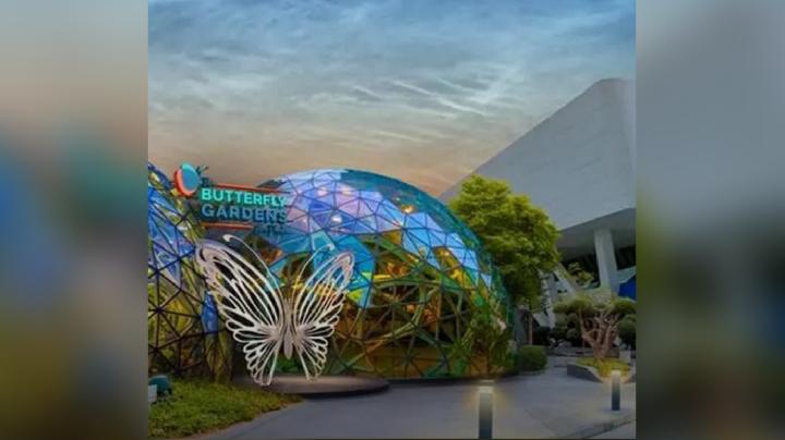 Discover 8 Popular Tourist Attractions in Abu Dhabi, the World's Safest City