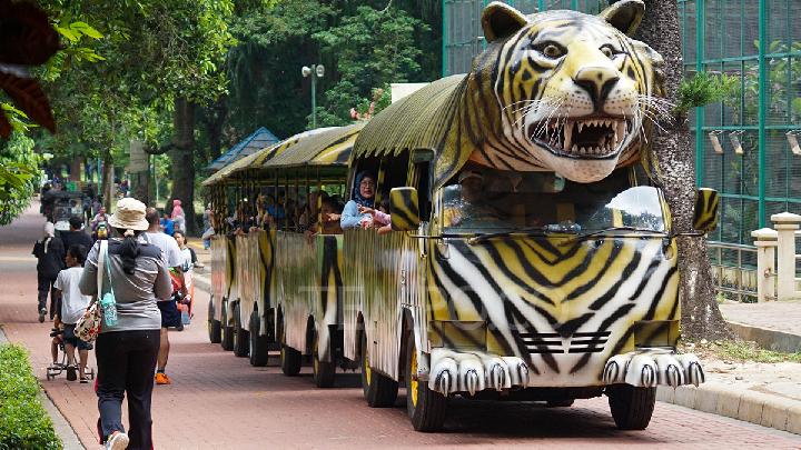 Jakarta Considers Night Hours for Ragunan Zoo and Higher Prices for Non-Residents