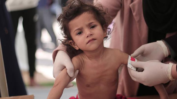 UN: 14,000 Babies in Gaza Will Die from Starvation in 24 Hours!