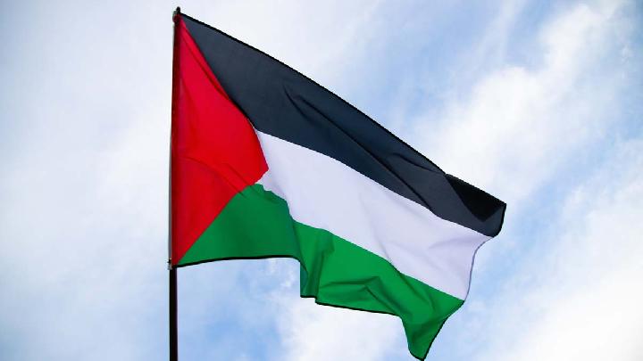 Free Palestine Network Organizes Nationwide Rallies in Eight Indonesian Cities