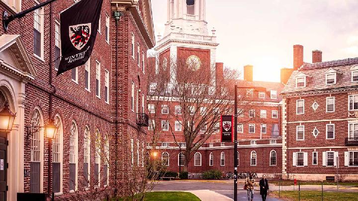 International Students in 'Panic Mode' After Trump Announces Harvard Ban