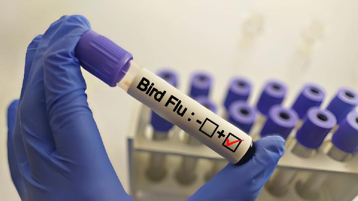 Man Dies of H5N1 Bird Flu in Cambodia, Sixth Death in 2025
