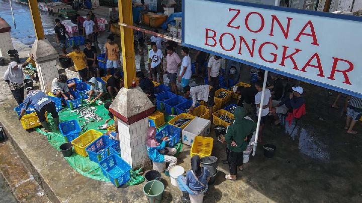 How Importers Smuggle Fishery Commodities into Indonesia