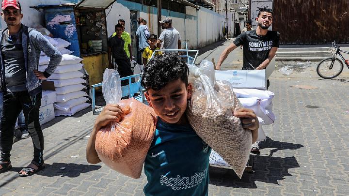 The Death Trap of Israel's Aid Sites in Gaza: Drug-Laced Flour, Killings of Aid Seekers