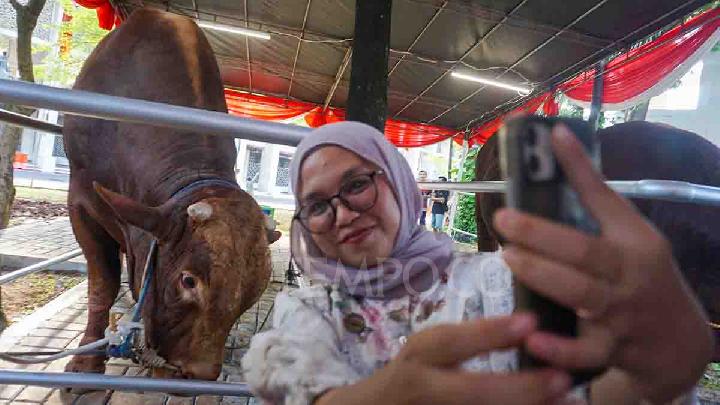Presiden Prabowo Sumbang 36 Ekor Sapi untuk Sumatera Utara