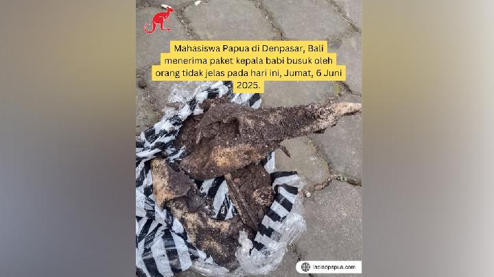 Papua Students in Bali Sent Rotting Pig Heads, Seen as Possible Intimidation