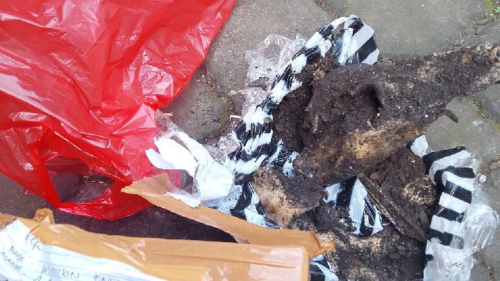 Terrorized with Pig's Head, Papuan Student Alliance Reports to LBH Bali