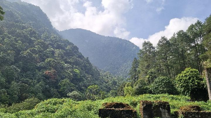 Indonesia Secures Opportunity to Protect Its Rich Biodiversity and Natural Resources