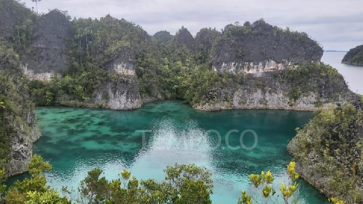 Telaga Bintang, Raja Ampat, Papua Barat Daya. Tempo/Martha Warta Silaban