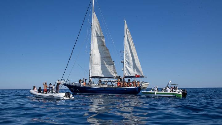 Israel Intercepts Freedom Flotilla Aid Ship, Detains 21 Activists