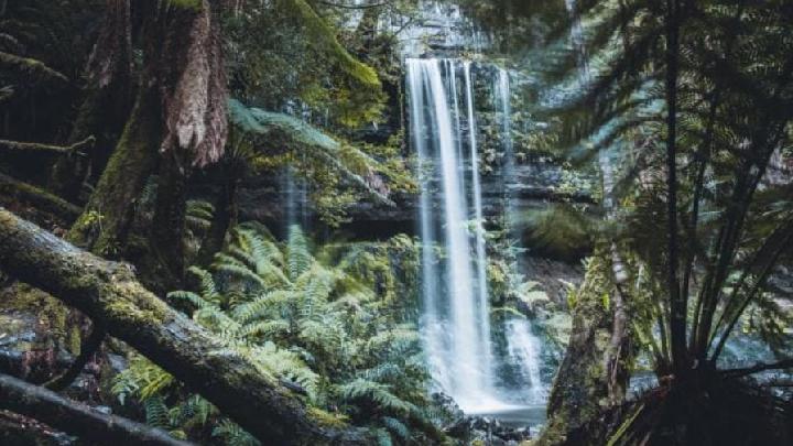 Spring in Australia 2025: Top Things to Do & What to Expect