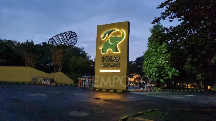 Solo Safari to Launch New Night Adventure Experience