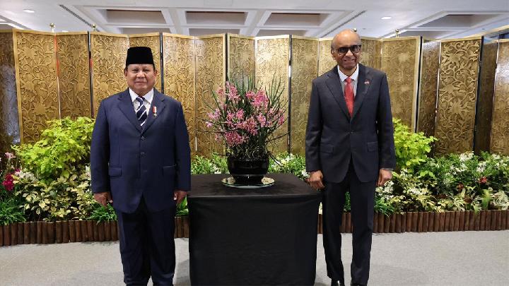 Indonesia Invites Temasek to Partner with Danantara
