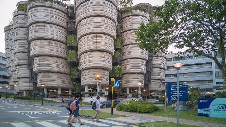 NTU Singapore Climbs to 12th in Latest Global University Rankings; NUS Hold Firm at 8th