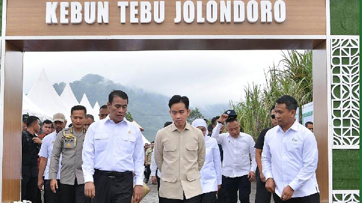 Wakil Presiden Gibran Rakabuming Raka (tengah) dan Menteri Pertanian Andi Amran Sulaiman meninjau Panen Raya dan Tanam Tebu Perdana di Kebun Tebu Jolondoro, Banyuwangi, Jawa Timur, 23 Juni 2025. Dok. Sekretariat Wakil Presiden