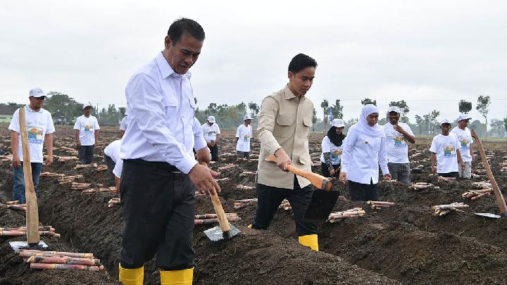 Minister Admits Not All Bulog Rice is of Good Quality