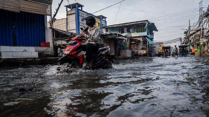 BMKG: Beware of Tidal Flooding in Several Indonesian Coastal Regions
