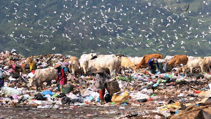Researcher: Indonesians Must Be Informed of Waste-to-Energy Project Safety