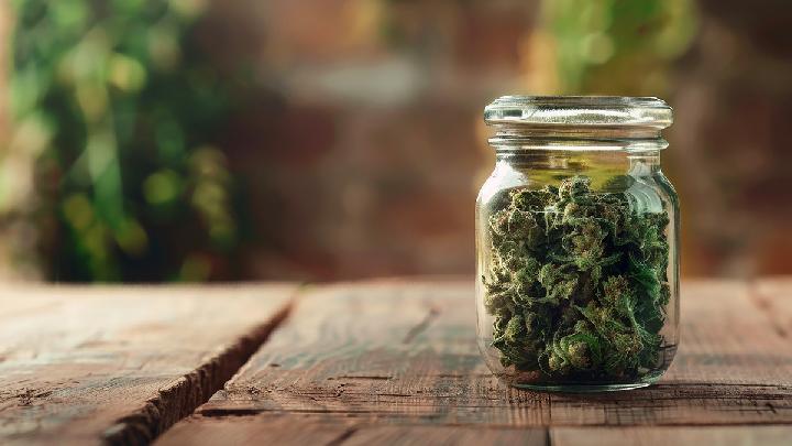 Trump Considers Reclassifying Marijuana as Less Dangerous Drug