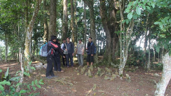 Sebagian lokasi situs Kuta Tanggeuhan di Cianjur saat baru ditemukan pada 2017. (Dok. Lutfi Yondri)