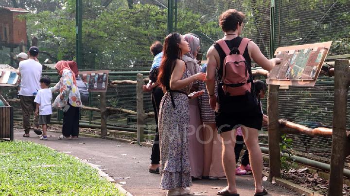 Pengunjung di Taman Burung Jagat Satwa Nusantara, TMII, 27 Juni 2025. Tempo/Muhammad Wildan Al Gifari