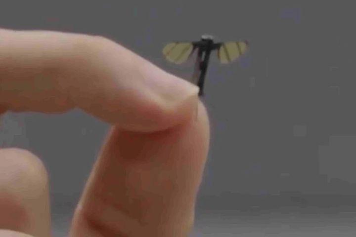 China Unveils Mosquito-Sized Robot for Military Use