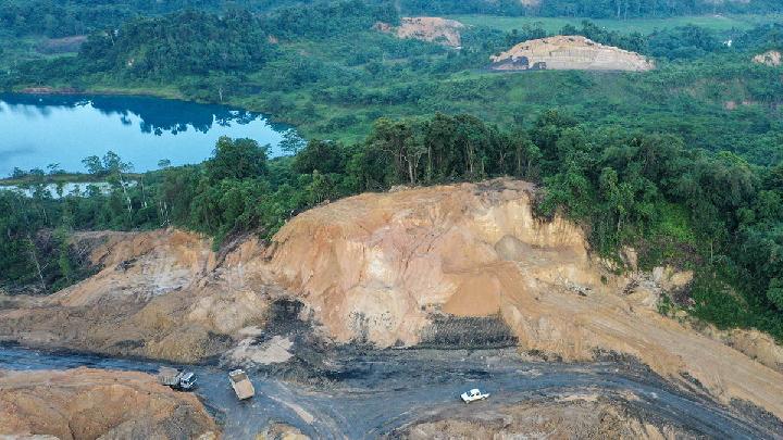 How Deforestation Can Increase Disease Transmission