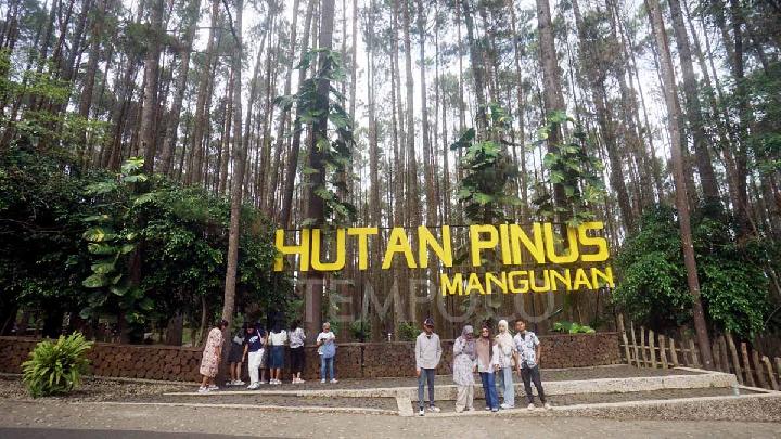 Tourists Flock to Malioboro, Here Are Other Destinations to Explore in Yogyakarta