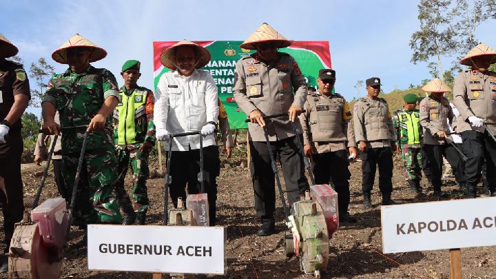 Alasan Polda Aceh Tanam Jagung Serentak di Lahan Seluas 141, 7 Hektare