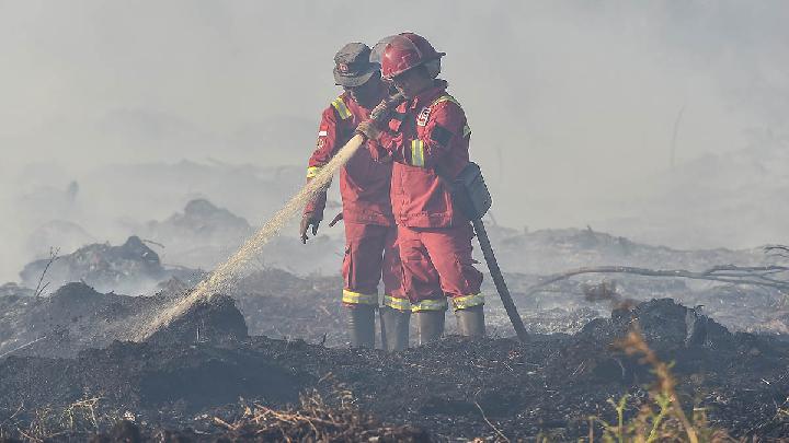 El Nino Could Trigger Extreme Fires Worldwide in 2026